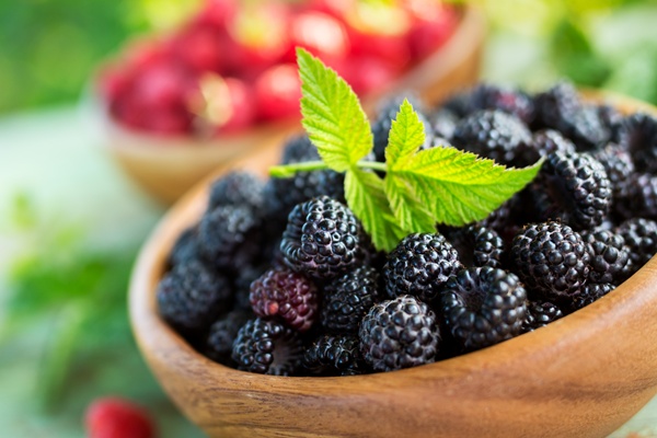 Blackberries Are Allies against Oral Cancer